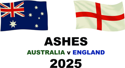 Ashes 2025 - Full Colour Stainless Steel Can Cooler