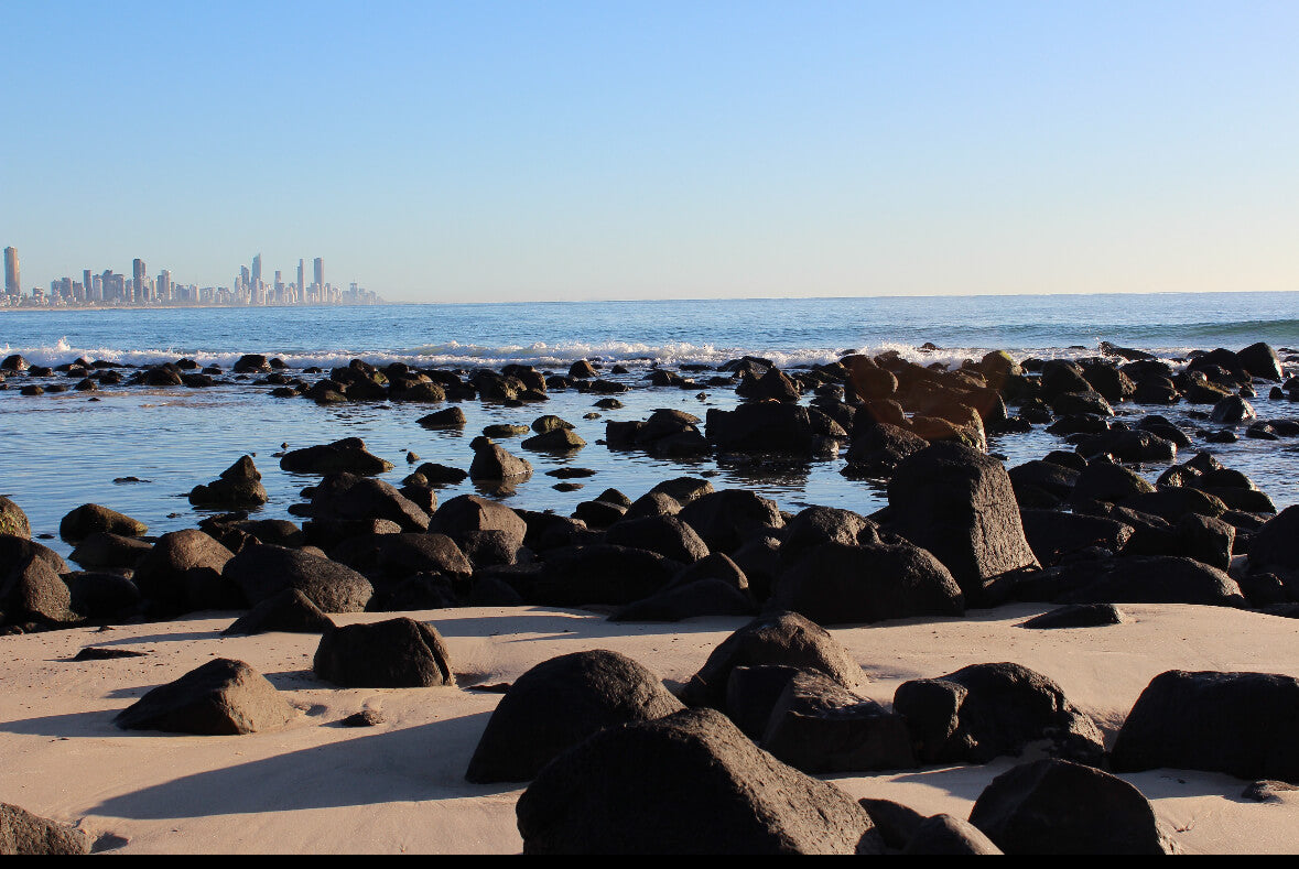 Premium Stainless Steel Can Cooler -Full Colour Stainless Steel Can Cooler