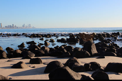 Premium Stainless Steel Can Cooler -Full Colour Stainless Steel Can Cooler